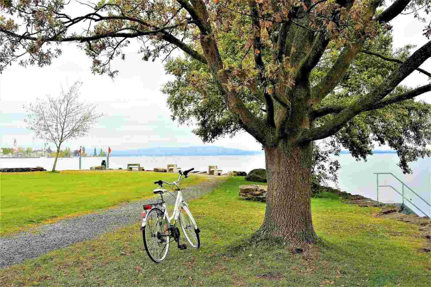 Visiter la Baie de Somme à vélo | Hôtel Spa Le Cise