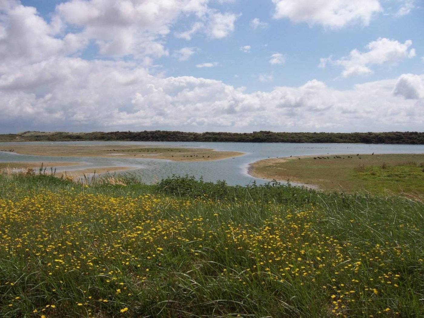 Le parc de Marquenterre